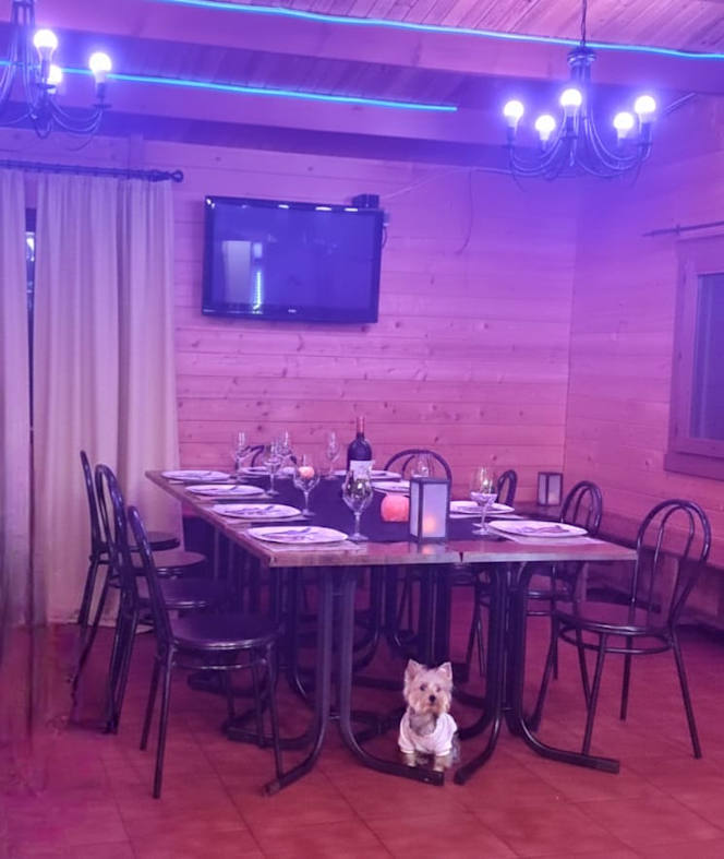 La cabañita de Lola - 0