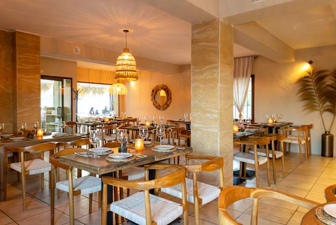 Palito by Temblor - 8