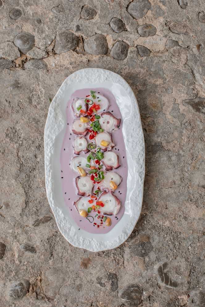 Cevitxef Barcelona - 3