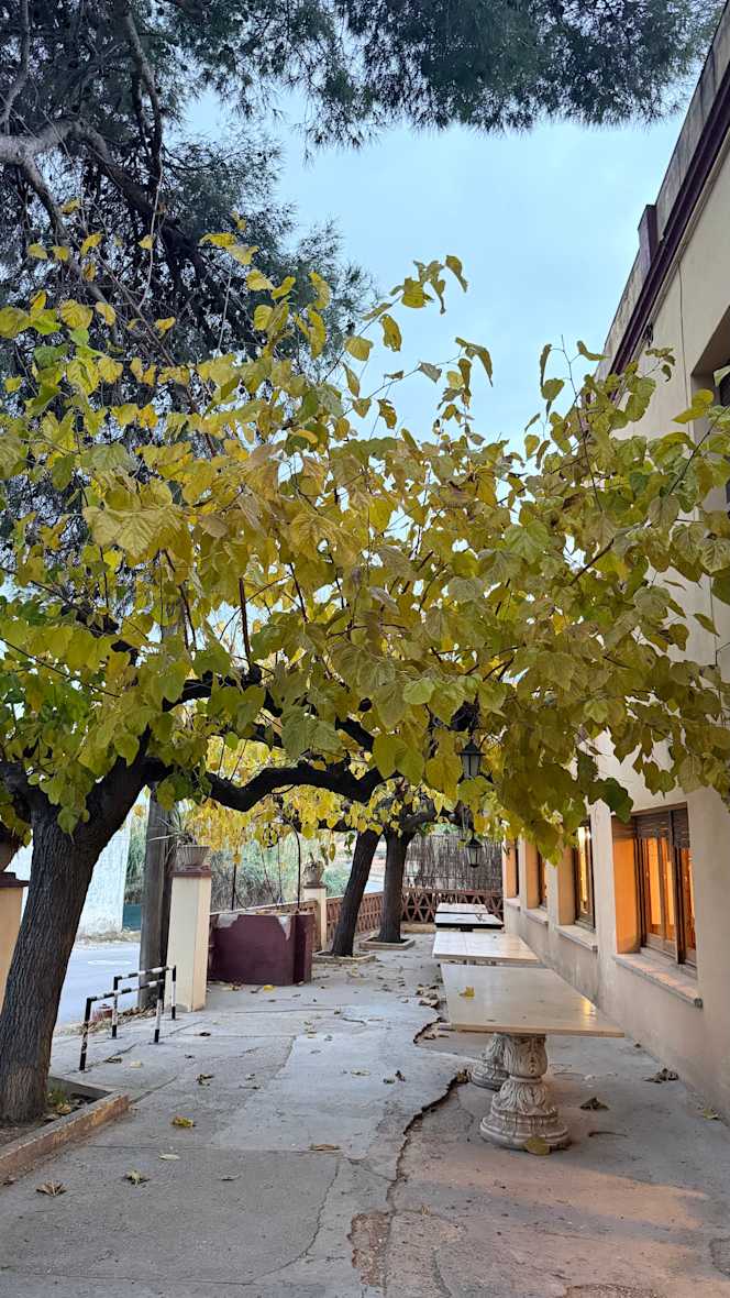 Restaurant Masia La Figuera - 1