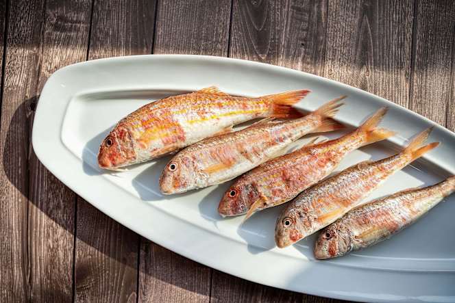 La tartana de can massanet - 1