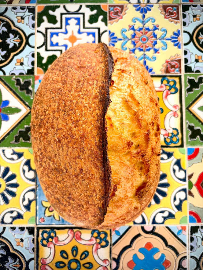 Fattoria di nonna patty - 4