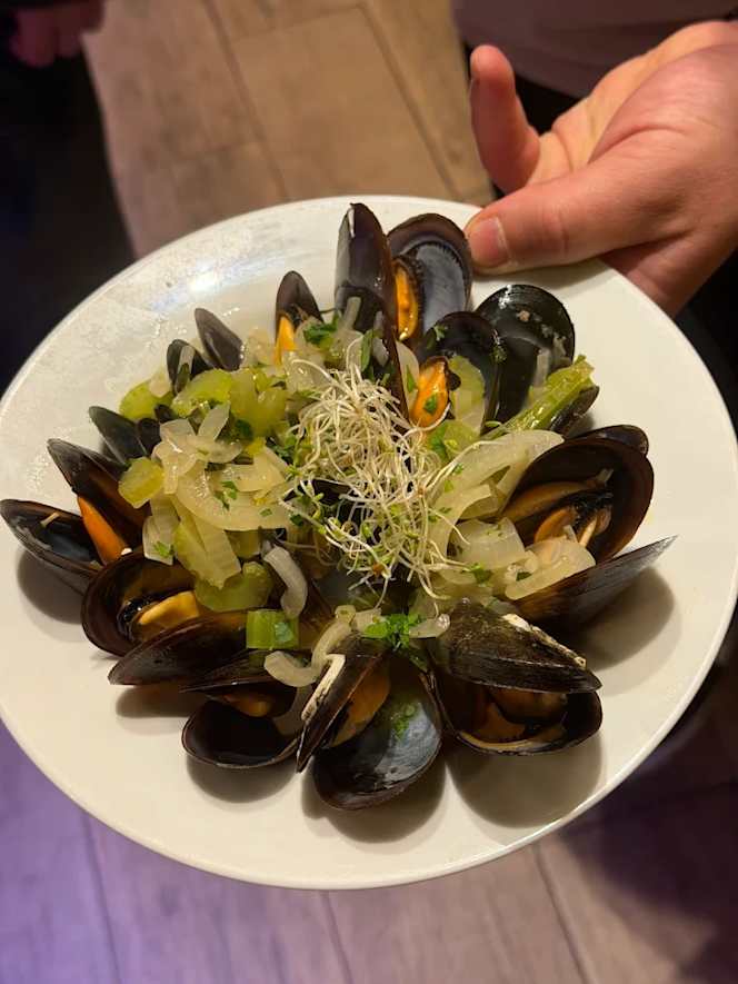 Zidra - Benidorm - 6