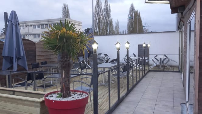 Le palme - 9