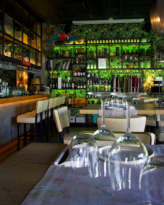 Tanino San Pedro - 2