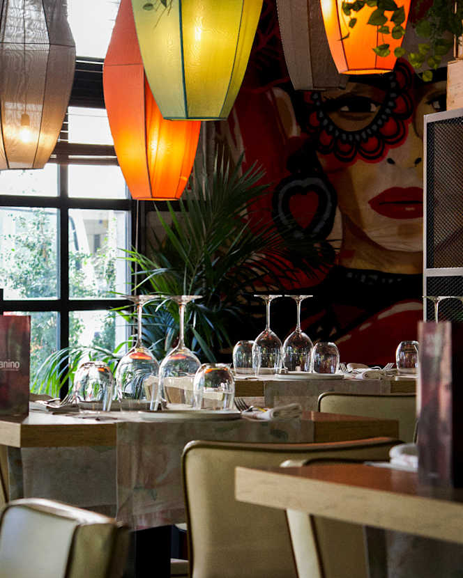 Tanino San Pedro - 1