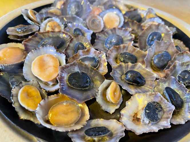 Restaurant Pub Habeas Coppus - 2