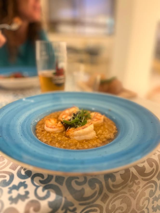 Gaudia Palati - 9