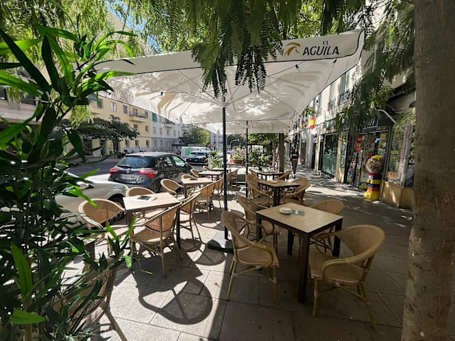 Singular de Narváez - 9