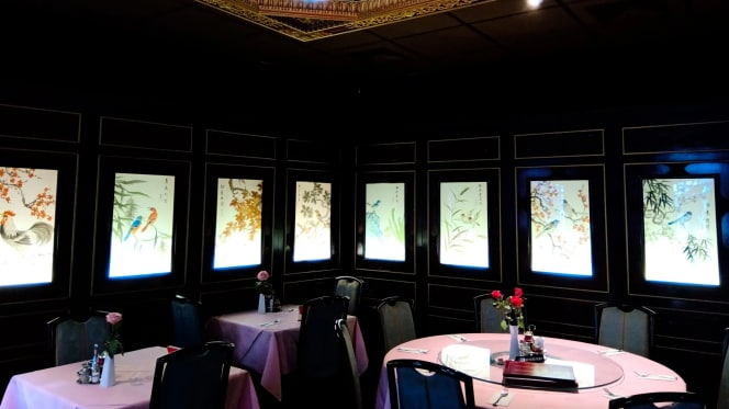 Yang - Chinese restaurant - 5
