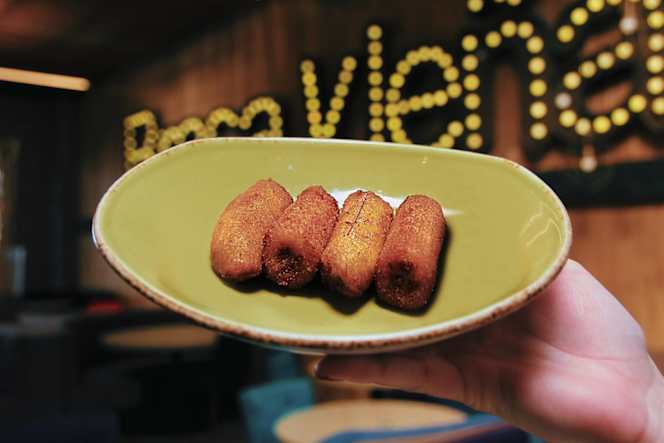 Brasayleña Xanadú - 2