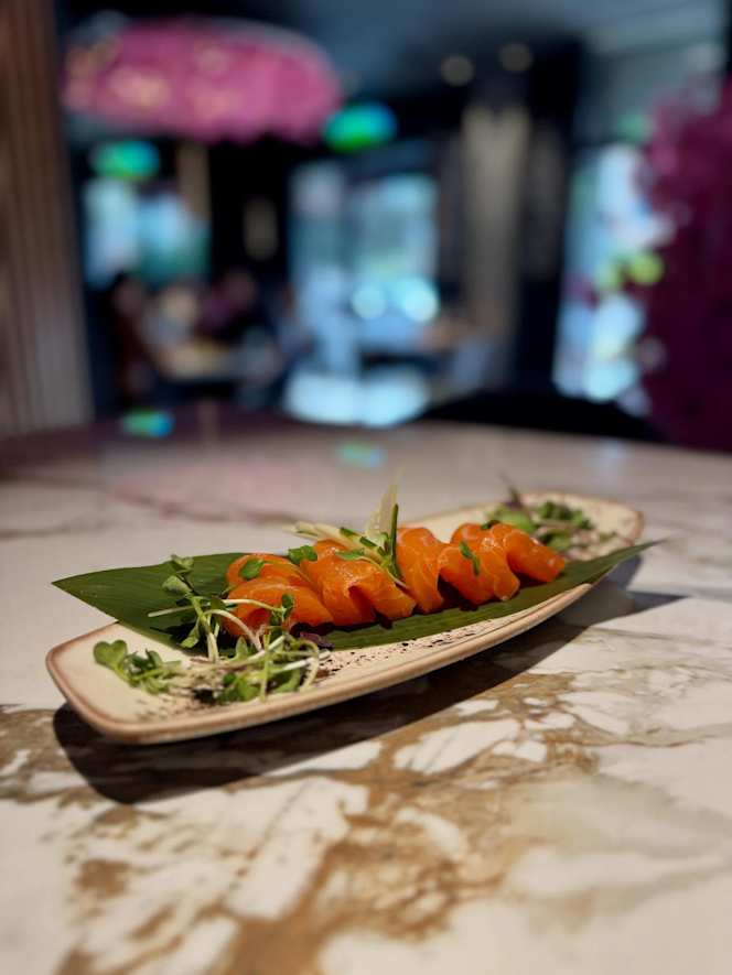 Do&Go Japanese Vibes - 2