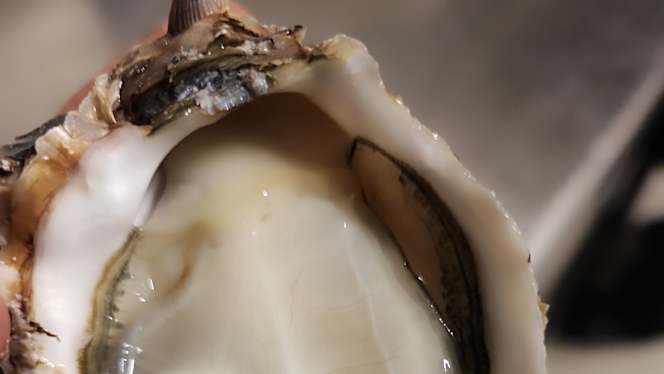 Trattoria Mediterranea - Concorezzo - 5