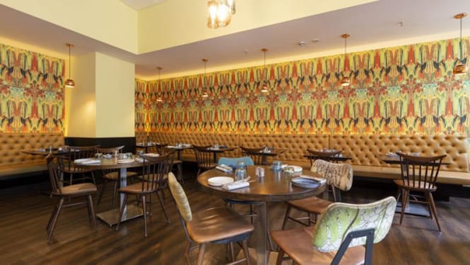 Massis Paddington - 9