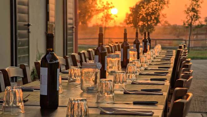 La Tenuta dei Piani - 9