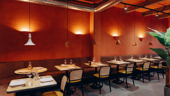 Sherpa – Nepali, Tibetan & Indian Restaurant - 0