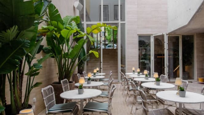 Avenida Restaurant & Bar - 7