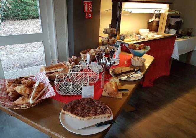 Hotel Restaurant Rixheim- île Napoléon- Mulhouse - 1