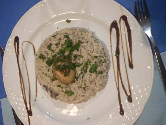 Mediterranean Gold - 6