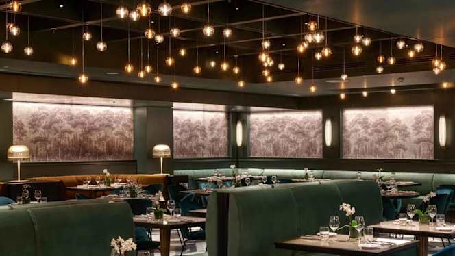 The Green by Hilton Eur La Lama - 3