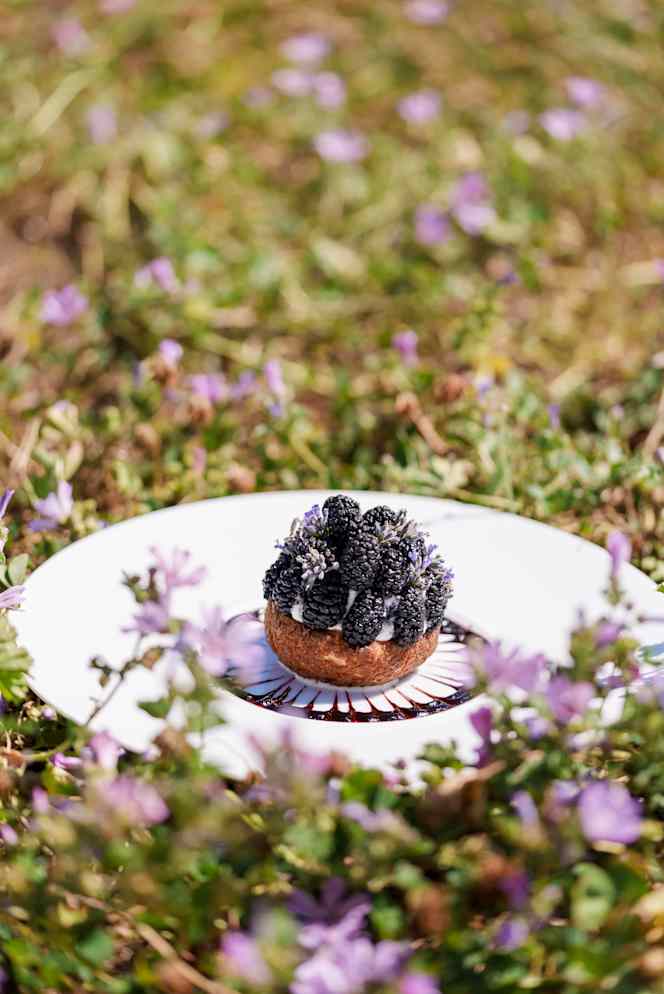 La Polledrara Relais Di Campagna - 5