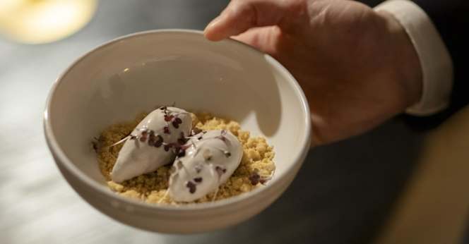 Singular - The Lodge Mallorca - 1