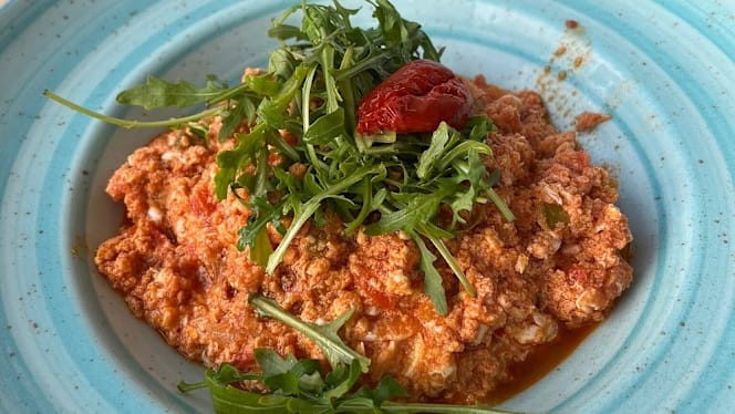 Turquoise Gourmet - 0