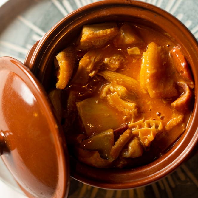 Perro Paco - Madrid - 3