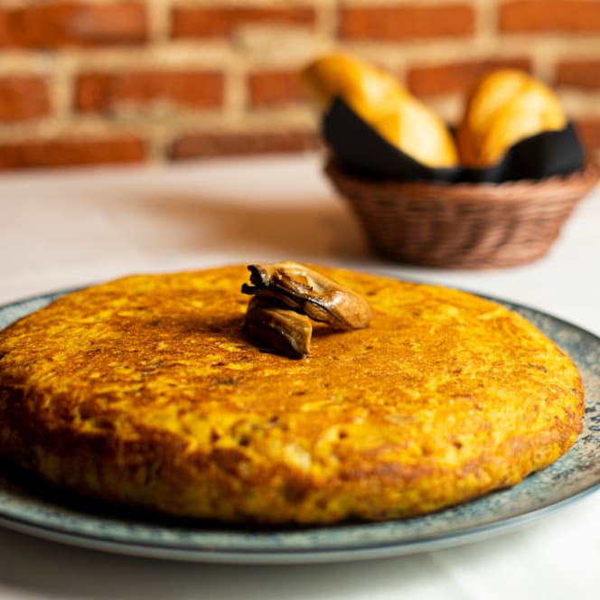 Perro Paco - Madrid - 7