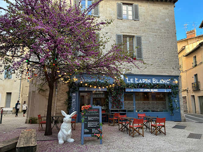Le Lapin Blanc - 1