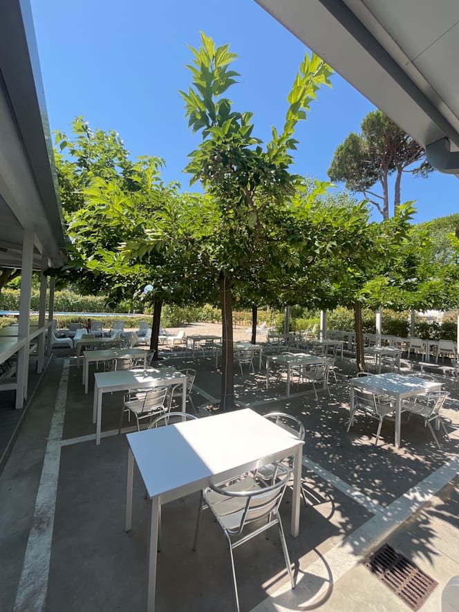 Il giardino delle delizie - 1