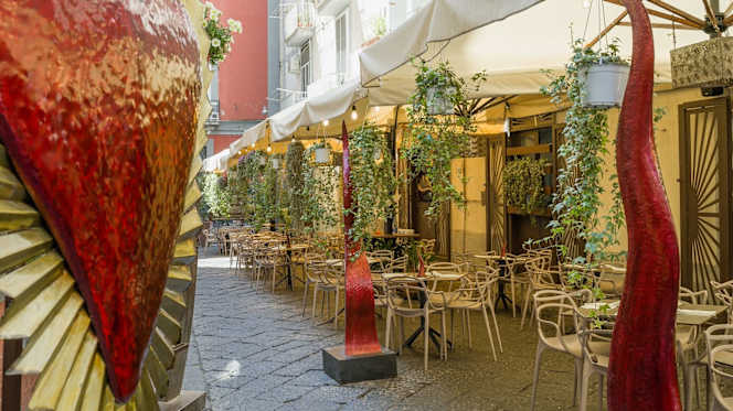 Insolito Cucina & Pizzeria - 7