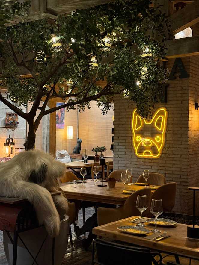 Trattoria La Bonita - 4