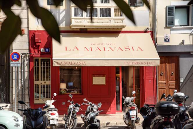 La Malvasia Olivar - 7