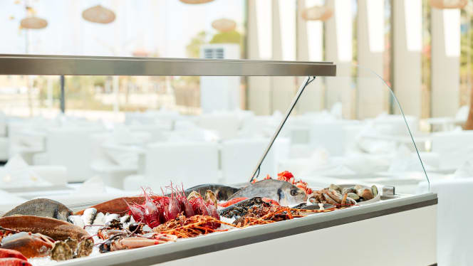 Purobeach Beachfront Vilamoura - 5