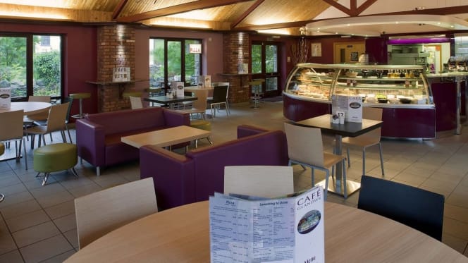 Glaslyn Artisan Ice Cream & Pizza - 2
