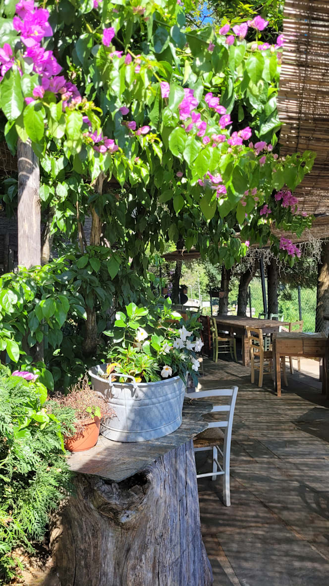 L'osteria - 2