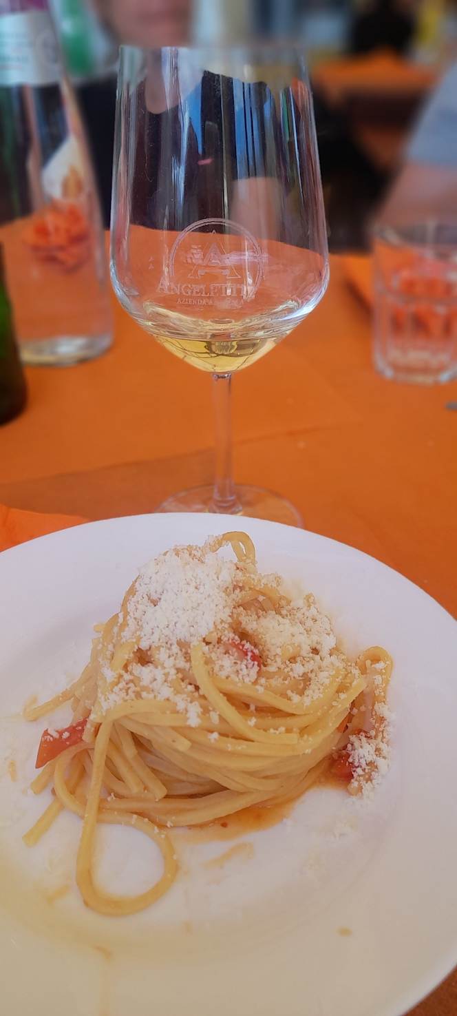 Azienda Vitivinicola Angeletti Raffaele - 7