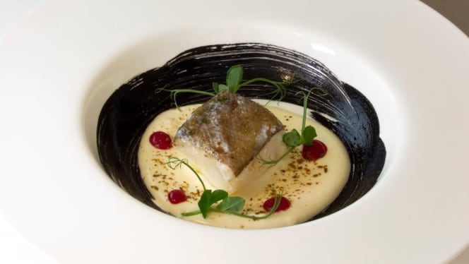 Tino Gourmet - 0