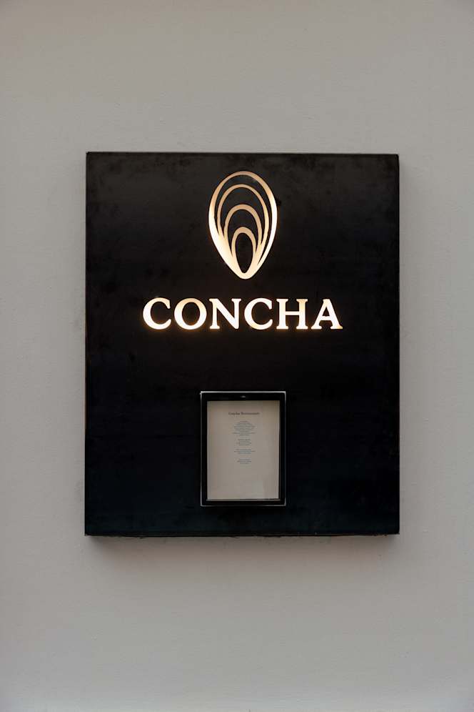 Concha - 3