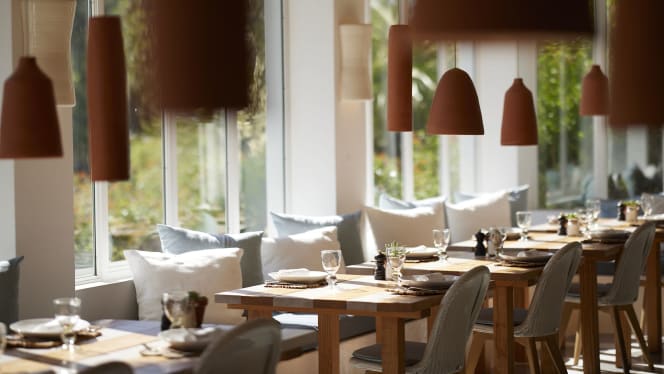 À Terra - Vilamonte - 6