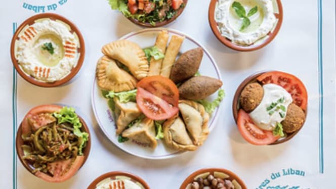 Les Cèdres du Liban - 5