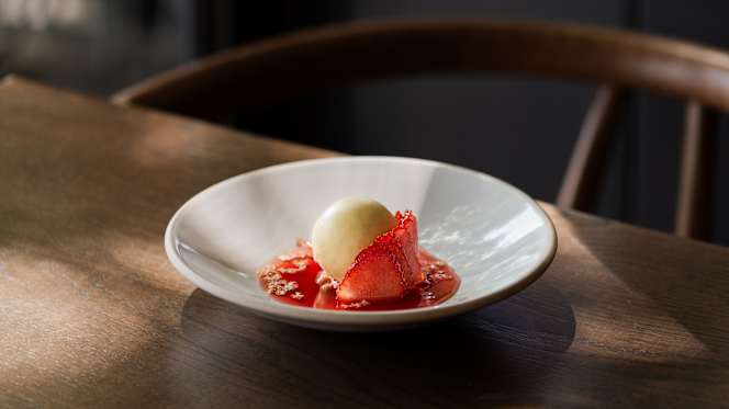 The Silver Birch - 6