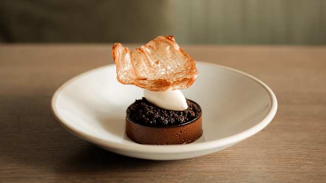 The Silver Birch - 5