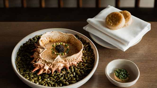 The Silver Birch - 0