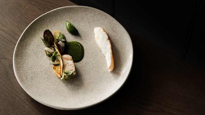 The Silver Birch - 7