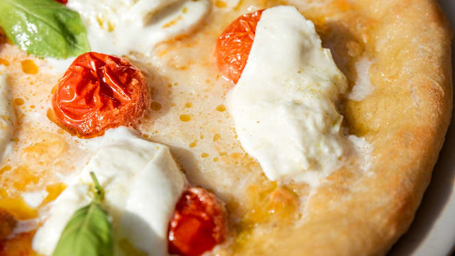 Frugale Food Garden - 4