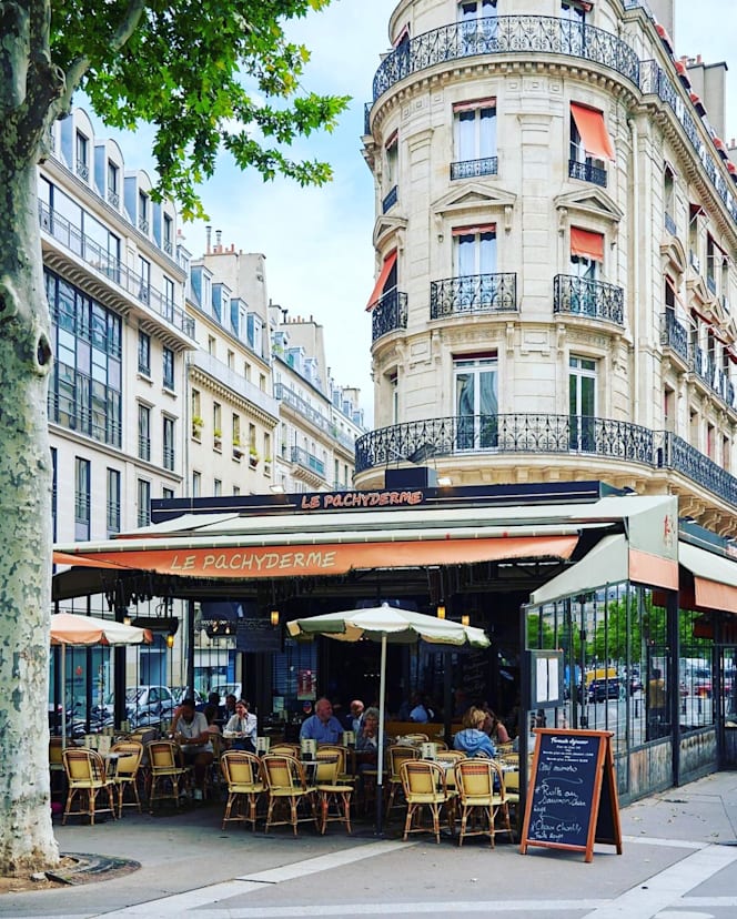 Le pachyderme - 3