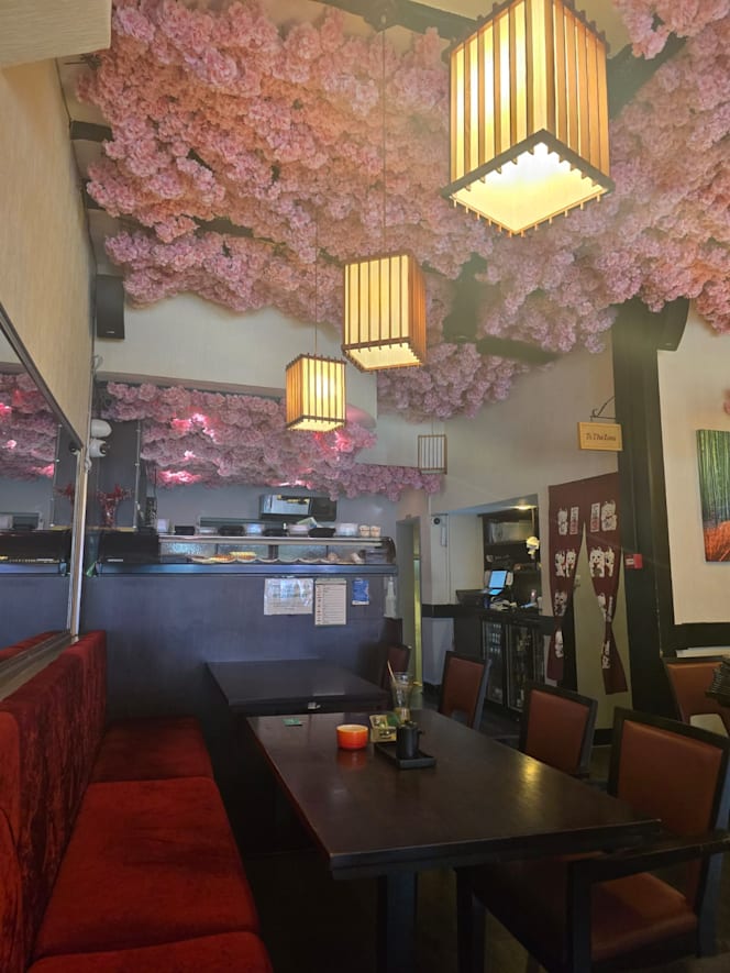Mikawa Japanese - 0