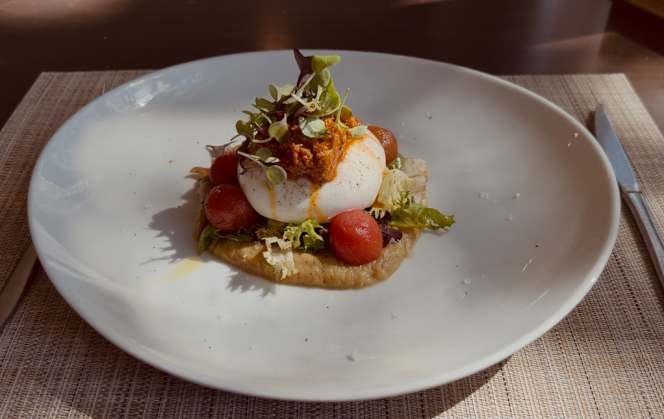 La Terraza del Jarama - Algete - 1